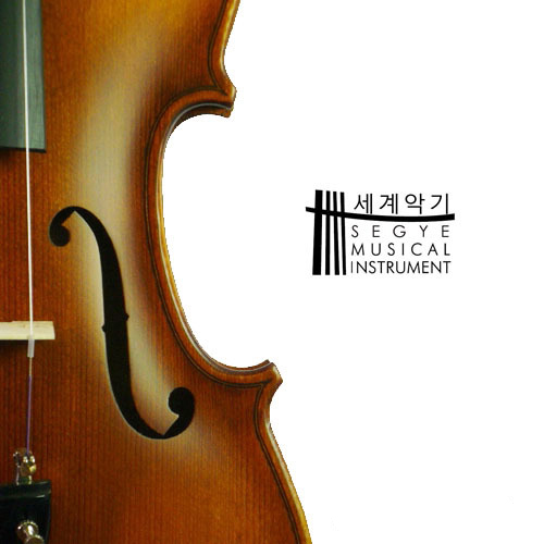 세계 바이올린 SVN-200S