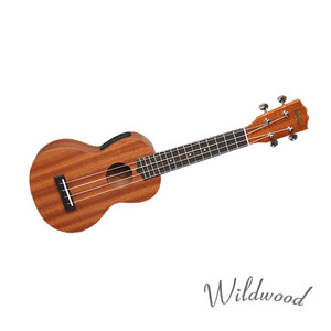 Wildwood Soprano WS-250T
